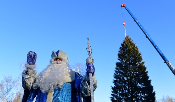 На Соборную площадь Кремля доставили главную новогоднюю елку страны