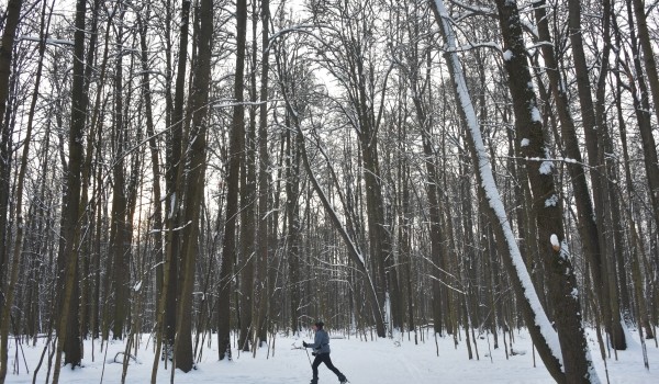 Новогодние праздники в парках «Кусково», «Покровское-Стрешево» и «Битцевский лес» пройдут в обычном режиме