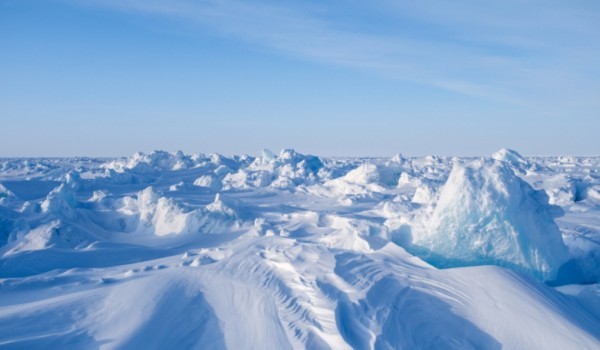 Опубликована архитектура деловой программы Международного арктического форума – 2022 «Арктика – территория диалога»