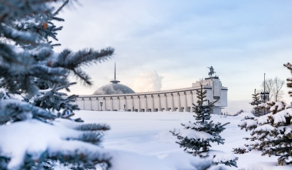 В Музее Победы откроется новая выставка «Герои в небе и на земле»