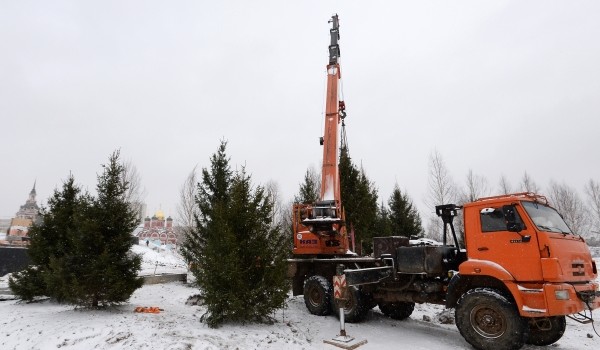 В 2021 году на территориях новостроек Москвы было высажено более 33 тысяч деревьев