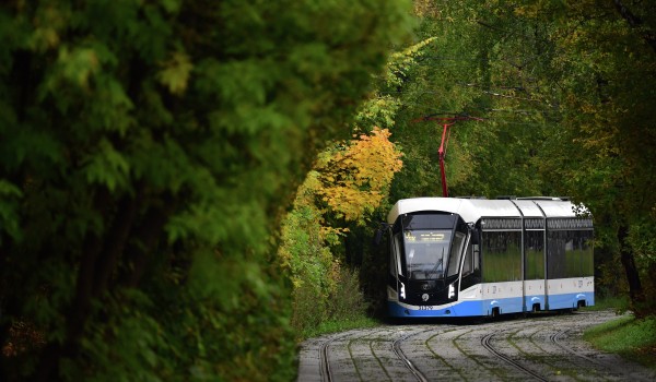 В Красносельском и Мещанском районах капитально отремонтируют трамвайные пути