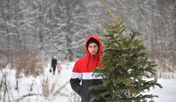 Около 49 тыс. хвойных деревьев сдали москвичи на утилизацию в рамках акции «Елочный круговорот»