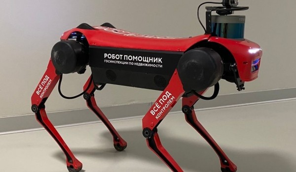 «Активные граждане» выберут имя для робота-собаки столичной Госинспекции по недвижимости