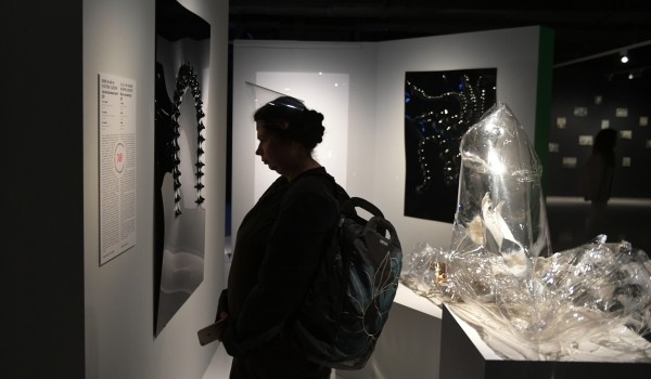 Выставка художников-любителей «Искусство без границ» откроется в Alpert Gallery 8 апреля
