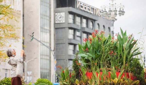Эксперты назвали фестиваль «Цветочный джем»  «Лучшим городским праздником»