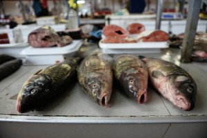 Президент Федерации рестораторов: Столичные хозяева общепита сами ездят в Приморье за свежей рыбой