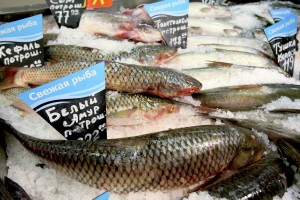 Торгово-промышленная палата: Стоимость рыбы в Москве и регионах вырастет из-за маркировки