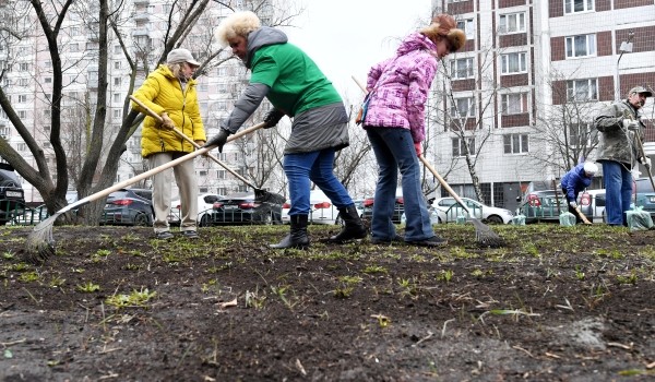 В городском субботнике участвуют порядка 900 тысяч москвичей