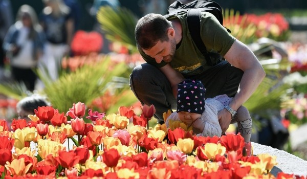 14 млн тюльпанов появятся в столице к майским праздникам