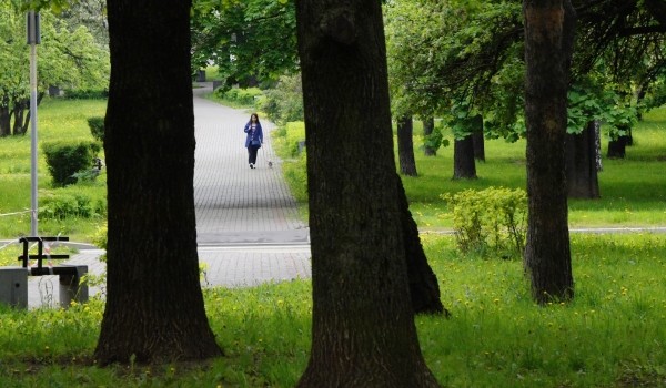 На территории медкластера в «Сколково» откроют три новых парковых зоны