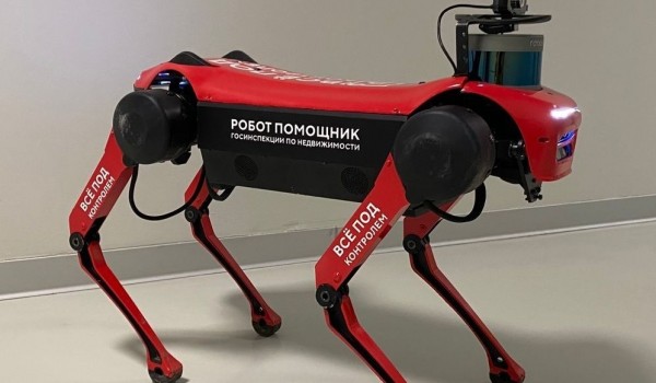 Робот-пес Арти: «активные граждане» выбрали имя для электронного сотрудника Госинспекции по недвижимости