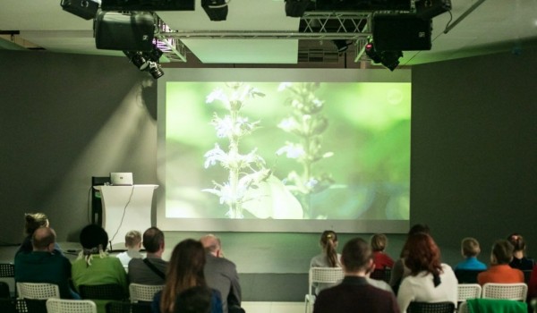 Гостей Экологической конференции пригласили погулять по digital-лесу