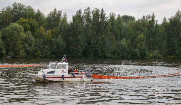 Пять человек были спасены на водных объектах Москвы за прошедшую неделю