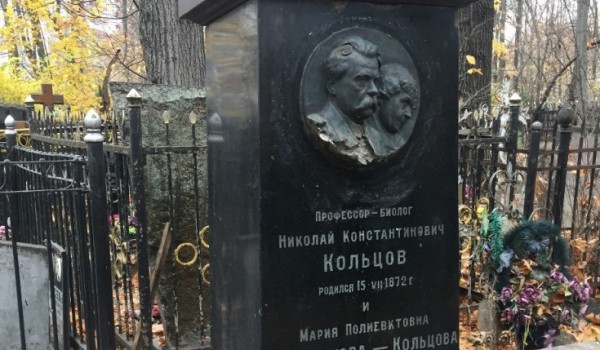 Началась реставрация исторического надгробия на могиле биолога Николая Кольцова
