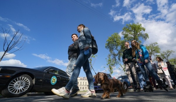 Работники Мосприроды напомнили горожанам правила выгула собак