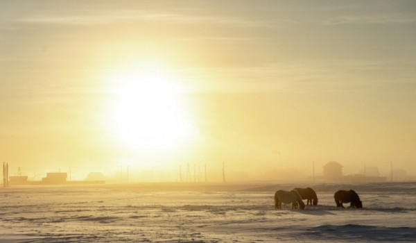 Путь длиною 16 месяцев: Якутский коневод завершил экспедицию от Полюса холода до Москвы