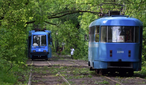 С 29 июля по пятницам и выходным не будут ходить трамваи к метро «ВДНХ» и в Останкино