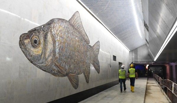 Монтаж самого крупного из 12 мозаичных панно начался на станции БКЛ метро «Нагатинский Затон»