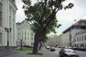 В 2021 году по заявкам маломобильных контролеров «Московского паркинга» исправили 51 проблемный участок на улицах столицы