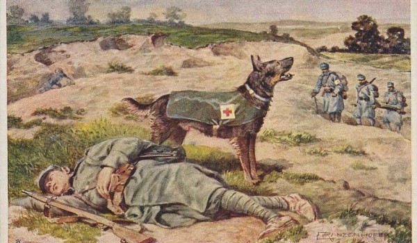 Виртуальную выставку «Портрет фронтовой собаки» открыл Музей Победы