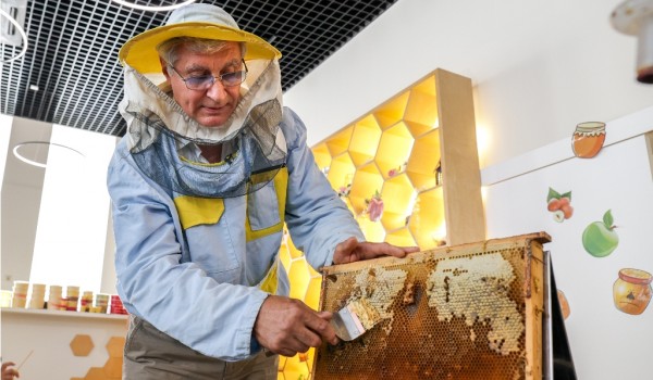 Медовый спас в павильоне «Пчеловодство» на ВДНХ