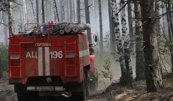 Собянин рассказал как московские спасатели помогают бороться с огнем в Рязанской области