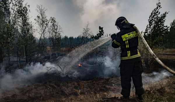 Greenpeace России: Активаторы пожаров вокруг Москвы - люди, а не жара