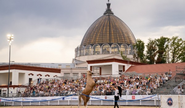 ВДНХ приглашает провести выходные  в Центре национальных конных традиций