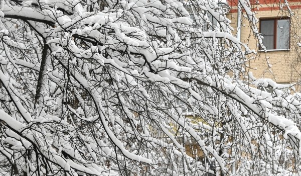 Синоптики анонсировали дату первого снега в Москве