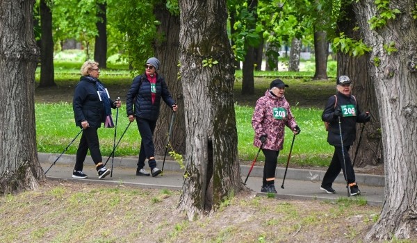 Анастасия Ракова: В столице создадут Московскую ассоциацию клубов долголетия