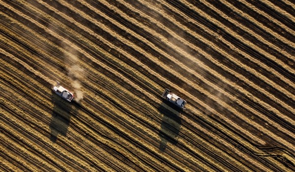 В Российском зерновом союзе рассказали об особенностях хранения урожая в Москве и регионах