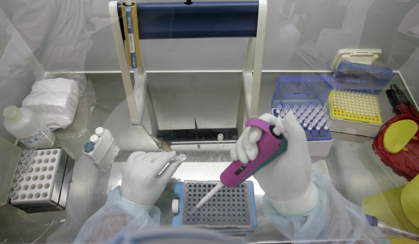 Ученые МГУ с коллегами создали экспресс-метод для определения вируса гриппа