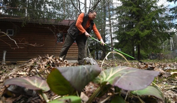 Депутат Мосгордумы Козлов напомнил о правилах сжигания листвы и травы в частном секторе и на дачах