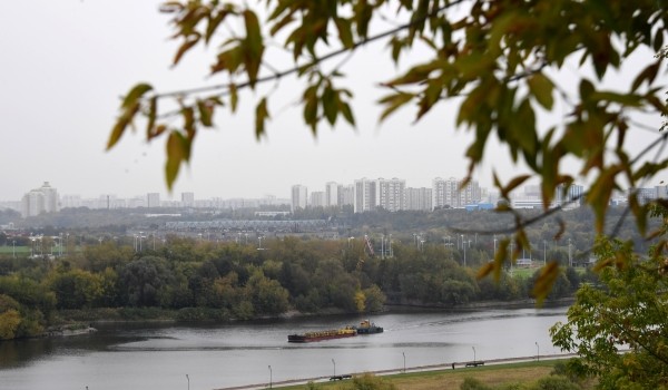 Облачная с прояснениями погода, дождь и до 8 градусов тепла ожидается в столичном регионе 26 октября