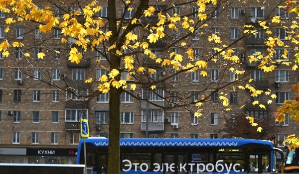 Еще 33 новых электробуса поставят в Москву до конца года