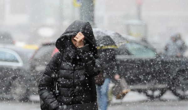«Аномальный ход»: Вильфанд сделал прогноз, когда в Москве появятся снег и гололедица