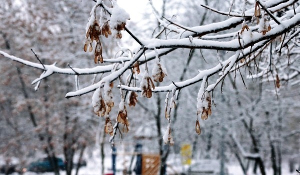 Москвичам пообещали облачную и снежную погоду 16 ноября