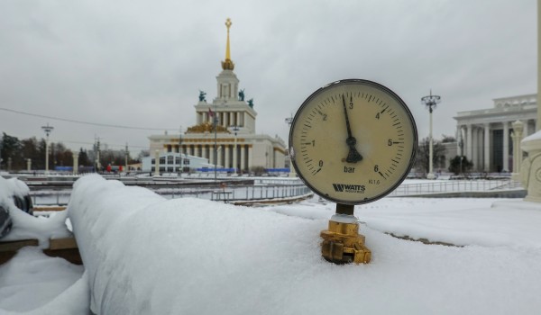 Заливка и монтаж катка на ВДНХ