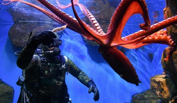 Лёвкин: На западе Москвы появится жилой комплекс с детским садом и океанариумом