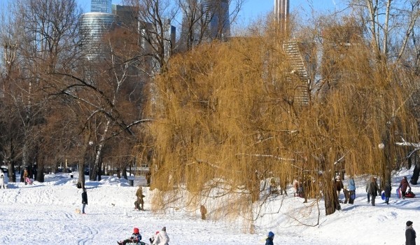 Москвичам пообещали гололедицу и до 4 градусов мороза 24 ноября