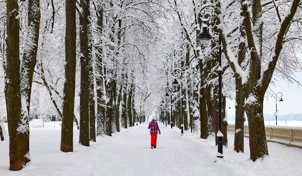 Ощутимое похолодание и снег пообещали москвичам в середине недели