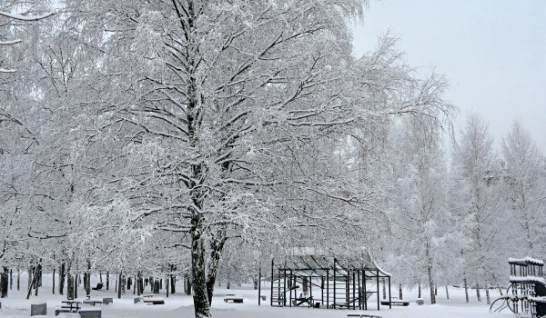 Переменная облачность и до 9 градусов мороза ожидаются в Москве 2 декабря