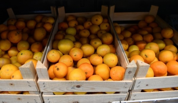 Более тонны цитрусовых собрали москвичи в рамках благотворительной акции «Подвешенный мандарин»