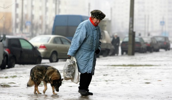 Москвичам пообещали «плавающую» погоду с оттепелями до конца зимы