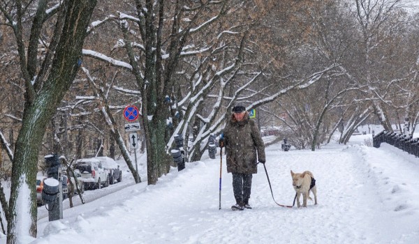 В Гидрометцентре рассказали, когда в Москву вернутся зимние морозы