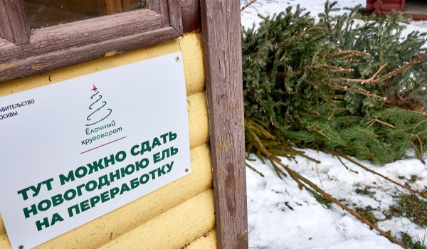 Более 14 тыс. хвойных деревьев москвичи сдали на утилизацию в рамках акции «Елочный круговорот»