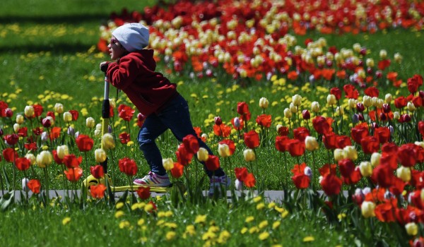 Более 56 млн цветов украсят Москву весной и летом