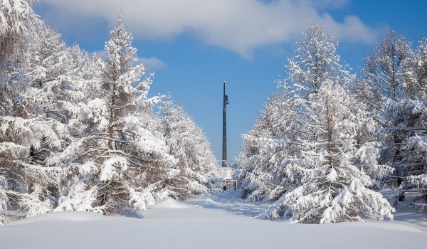 В Москве ожидаются облачная с прояснениями погода и гололедица 25 января