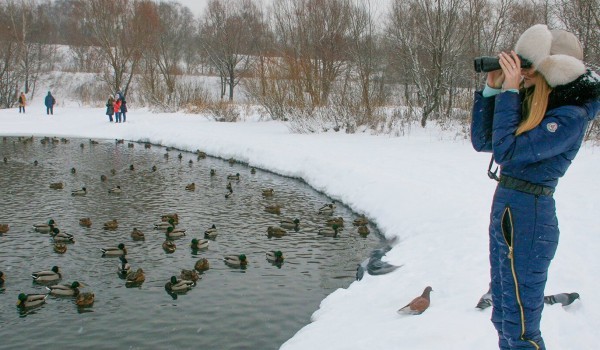 Москвичей пригласили на мероприятия ко Всемирному дню водно-болотных угодий